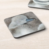 Dessous-de-verre Animaux de bébés cutest | Bébé Mute Swan (Côté gauche)