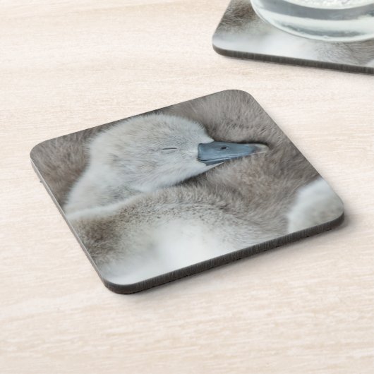 Dessous-de-verre Animaux de bébés cutest | Bébé Mute Swan (Côté gauche)