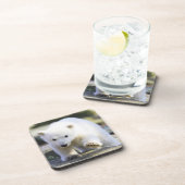 Dessous-de-verre Animaux de bébés cutest | Bébé Ours polaire (Côté Droit)