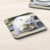 Dessous-de-verre Animaux de bébés cutest | Bébé Ours Polaire Cub (Côté gauche)