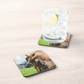 Dessous-de-verre Animaux de bébés cutest | Black Foy avec maman (Côté Droit)