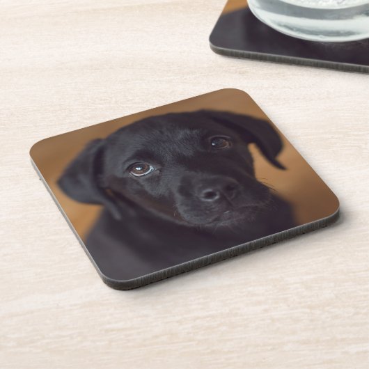 Dessous-de-verre Animaux de bébés cutest | Black Labrador Puppy (Côté gauche)