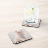 Dessous-de-verre Animaux de bébés cutest | Blue Eye Kitten (Côté Droit)