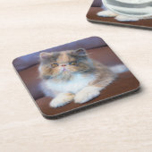 Dessous-de-verre Animaux de bébés cutest | Calico Persian Kitten (Côté gauche)