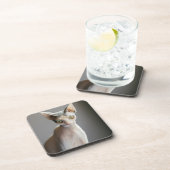 Dessous-de-verre Animaux de bébés cutest | Chat Sphinx (Côté Droit)