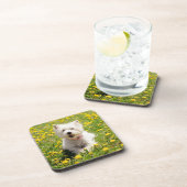 Dessous-de-verre Animaux de bébés cutest | Chien Westin en Dandelio (Côté Droit)