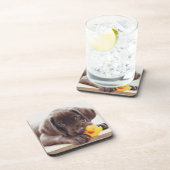 Dessous-de-verre Animaux de bébés cutest | Chocolat Labrador Puppy (Côté Droit)