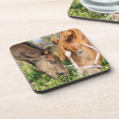 Dessous-de-verre Animaux de bébés cutest | Colt à cheval (Côté gauche)