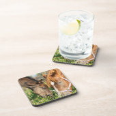 Dessous-de-verre Animaux de bébés cutest | Colt à cheval (Côté Droit)