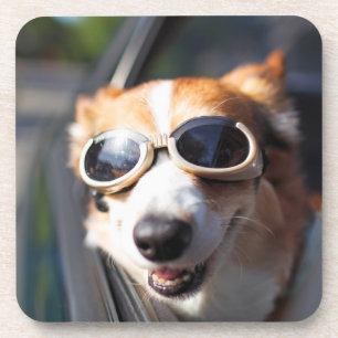 Dessous-de-verre Animaux de bébés cutest Corgi lunettes dans la v