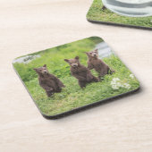 Dessous-de-verre Animaux de bébés cutest | Cubes d'ours Brown Kamch (Côté gauche)