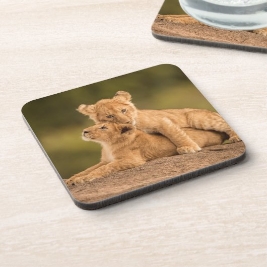 Dessous-de-verre Animaux de bébés cutest | Deux Lions Cubs (Côté gauche)