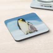 Dessous-de-verre Animaux de bébés cutest | Empereur Penguin Chick (Côté gauche)