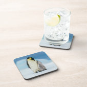 Dessous-de-verre Animaux de bébés cutest | Empereur Penguin Chick (Côté Droit)