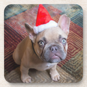 Dessous-de-verre Animaux de bébés cutest French Bulldog Christmas