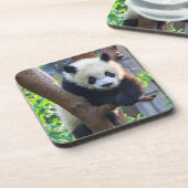 Dessous-de-verre Animaux de bébés cutest | Géant Panda Cub (Côté gauche)