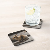 Dessous-de-verre Animaux de bébés cutest | Lapin nain de Pays-Bas (Côté Droit)