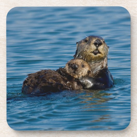 Dessous-de-verre Animaux de bébés cutest | Mère & Bébé Sea Otter (Devant)