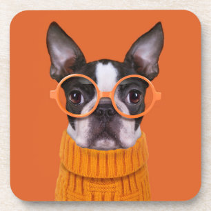 Dessous-de-verre Animaux de bébés cutest   Orange Boston Terrier