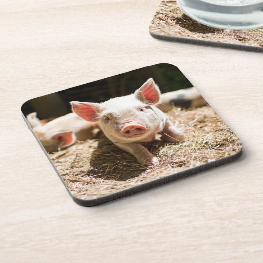 Dessous-de-verre Animaux de bébés cutest | Piglet bébé mignon (Côté gauche)