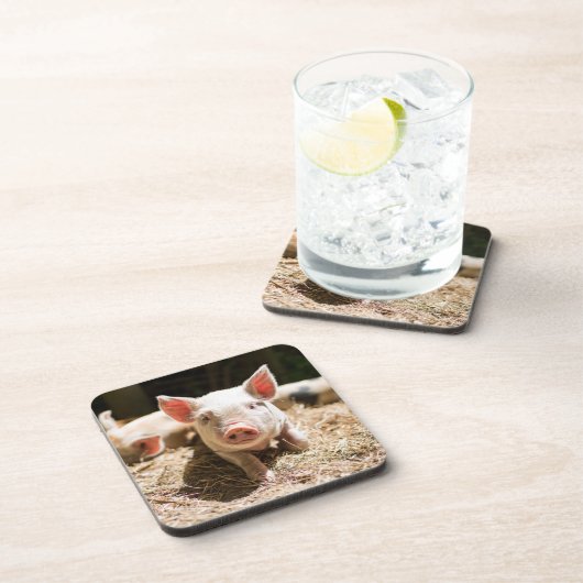 Dessous-de-verre Animaux de bébés cutest | Piglet bébé mignon (Côté Droit)