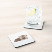 Dessous-de-verre Animaux de bébés cutest | Pine Marten (Côté Droit)