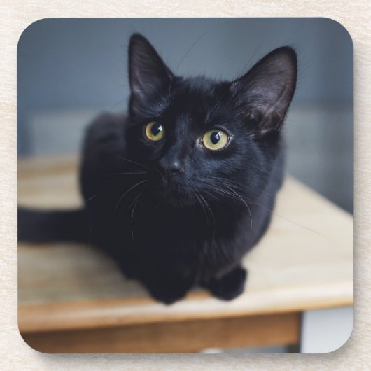 Dessous-de-verre Animaux de bébés cutest | Portrait d'un chat noir (Devant)