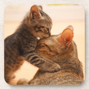 Dessous-de-verre Animaux de bébés cutest Tabby Kitten Kiss