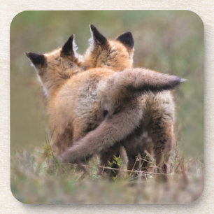 Dessous-de-verre Animaux de bébés cutest   Tails de verrouillage de