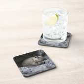 Dessous-de-verre Animaux de bébés cutest | Tiny Kitten Dormir (Côté Droit)