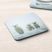 Dessous-de-verre Animaux de bébés cutest | Trois jeunes ours polair (Côté gauche)