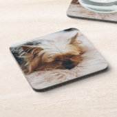 Dessous-de-verre Animaux de bébés cutest | Yorkshire Terrier (Côté gauche)