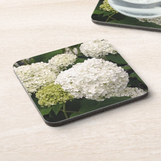 Dessous-de-verre Annabelle Hydrangea (Côté gauche)