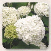 Dessous-de-verre Annabelle Hydrangea (Devant)