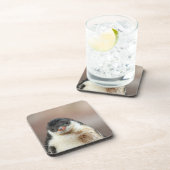 Dessous-de-verre Antarctique (Côté Droit)