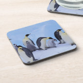 Dessous-de-verre Antarctique, Emporer Penguins (Côté gauche)