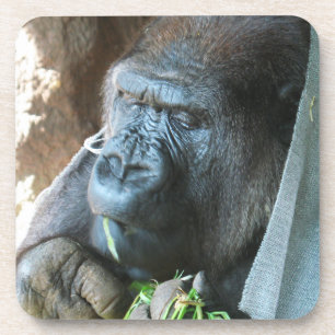 Dessous-de-verre Ape hood ~ Japonais Gorilla Manger