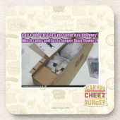 Dessous-de-verre Appel 1-800-LOLCATS (Devant)