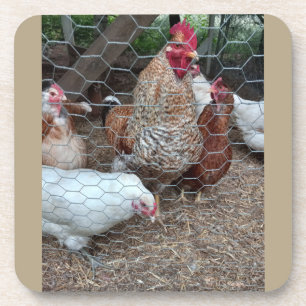 Dessous-de-verre Appel de poulet Homestead