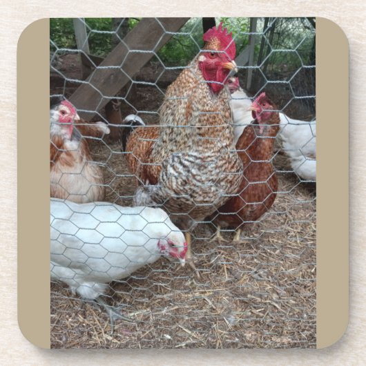 Dessous-de-verre Appel de poulet Homestead (Devant)