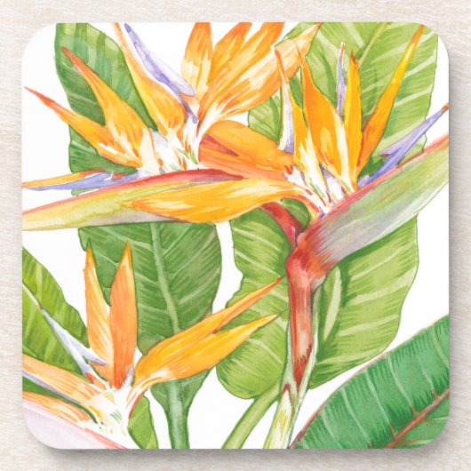 Dessous-de-verre Aquarelle de fleurs exotiques (Devant)