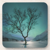 Dessous-de-verre Arborescence boréale (Devant)