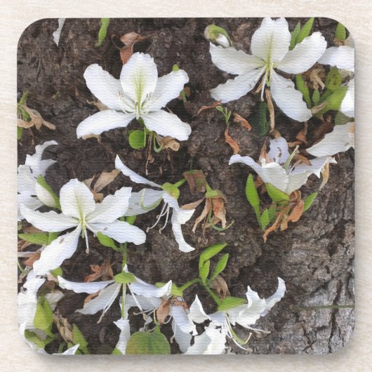 Dessous-de-verre Arbre (Devant)