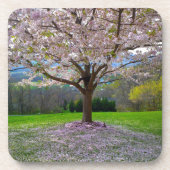 Dessous-de-verre Arbre fleuri rose cerisier avec bois (Devant)