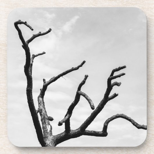 Dessous-de-verre arbre libre (Devant)