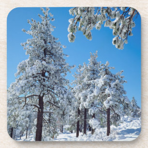 Dessous-de-verre Arbres enneigés dans les montagnes de Laguna