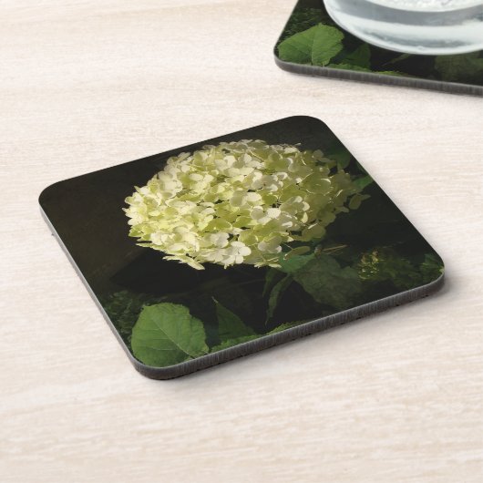 Dessous-de-verre Archarme Annabelle Hydrangea Bloom (Côté gauche)