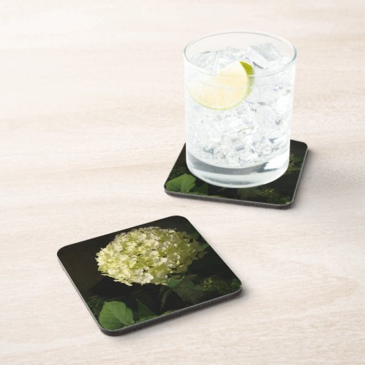 Dessous-de-verre Archarme Annabelle Hydrangea Bloom (Côté Droit)