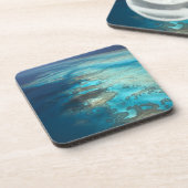 Dessous-de-verre Arlington Reef, Great Barrio Reef Marine Park, (Côté gauche)