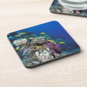 Dessous-de-verre Around Small Coral (Côté gauche)